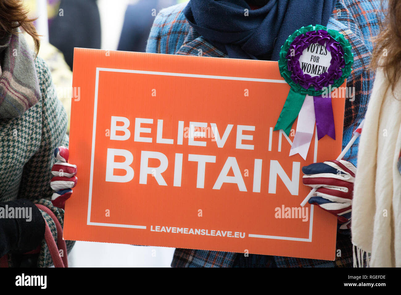 London ,UK. 29th January , 2019 .Pro and anti Brexit protesters demonstrate outside the Houses of Parliament on the day of voting on the amendments to the Withdrawal Act. Credit : George Cracknell Wright /Alamy Live News Stock Photo
