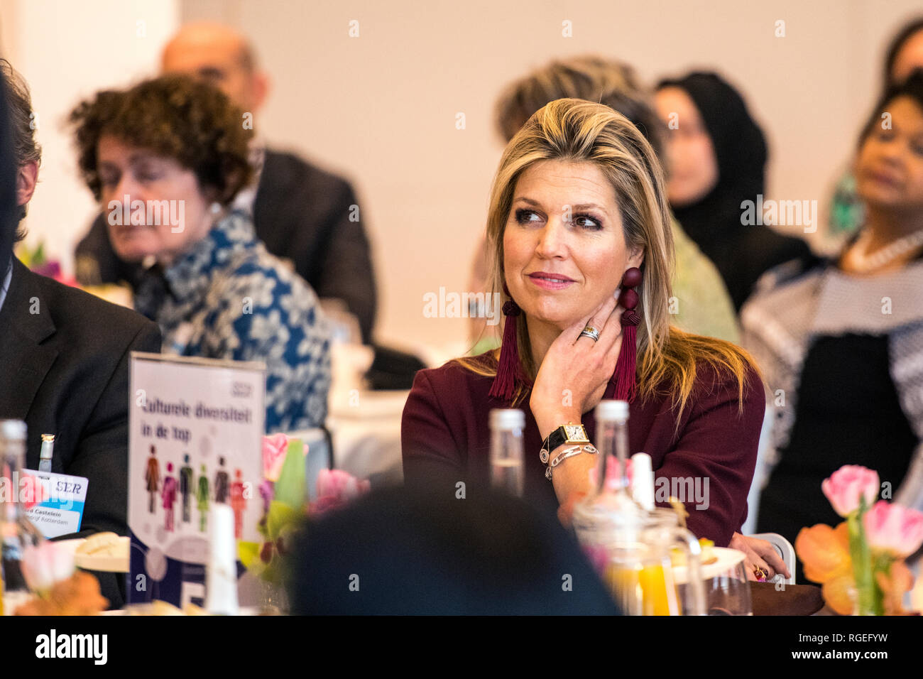The Hague, Netherlands. 29th January, 2019. The Social-Economic Council (SER) organizes the meeting on Tuesday, January 29th 'Cultural diversity in the top'. The meeting will include directors, role models and experts talking to each other to put more talents with a migrant background in top positionsto get. Queen Máxima will also be present. The meeting does not only want to ensure that the participants make concrete agreements to get cultural talent in the top. Credit: Gonçalo Silva/Alamy Live News Stock Photo