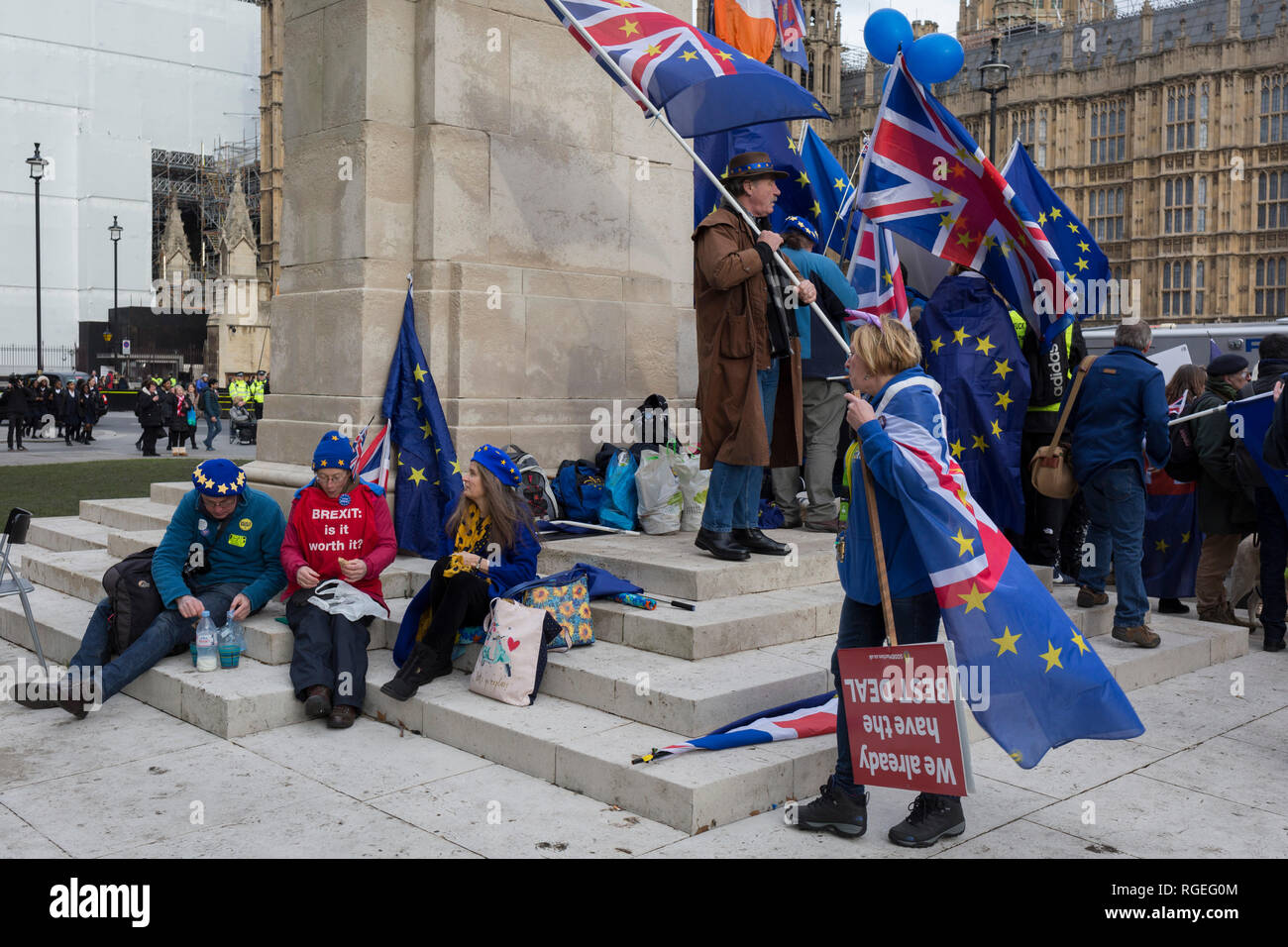 London, UK. 29th January, 2019.On the day that the UK Parliament once again votes on an amendment of Prime Minister Theresa May's Brexit deal that requires another negotiation with the EU in Brussels, pro-EU protesters gather outside the House of Commons, on 29th January 2019, in Westminster, London, England. Photo by Richard Baker / Alamy Live News. Stock Photo