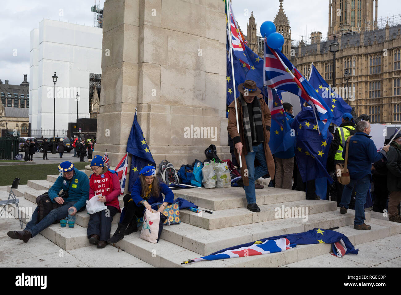 London, UK. 29th January, 2019.On the day that the UK Parliament once again votes on an amendment of Prime Minister Theresa May's Brexit deal that requires another negotiation with the EU in Brussels, pro-EU protesters gather outside the House of Commons, on 29th January 2019, in Westminster, London, England. Photo by Richard Baker / Alamy Live News. Stock Photo