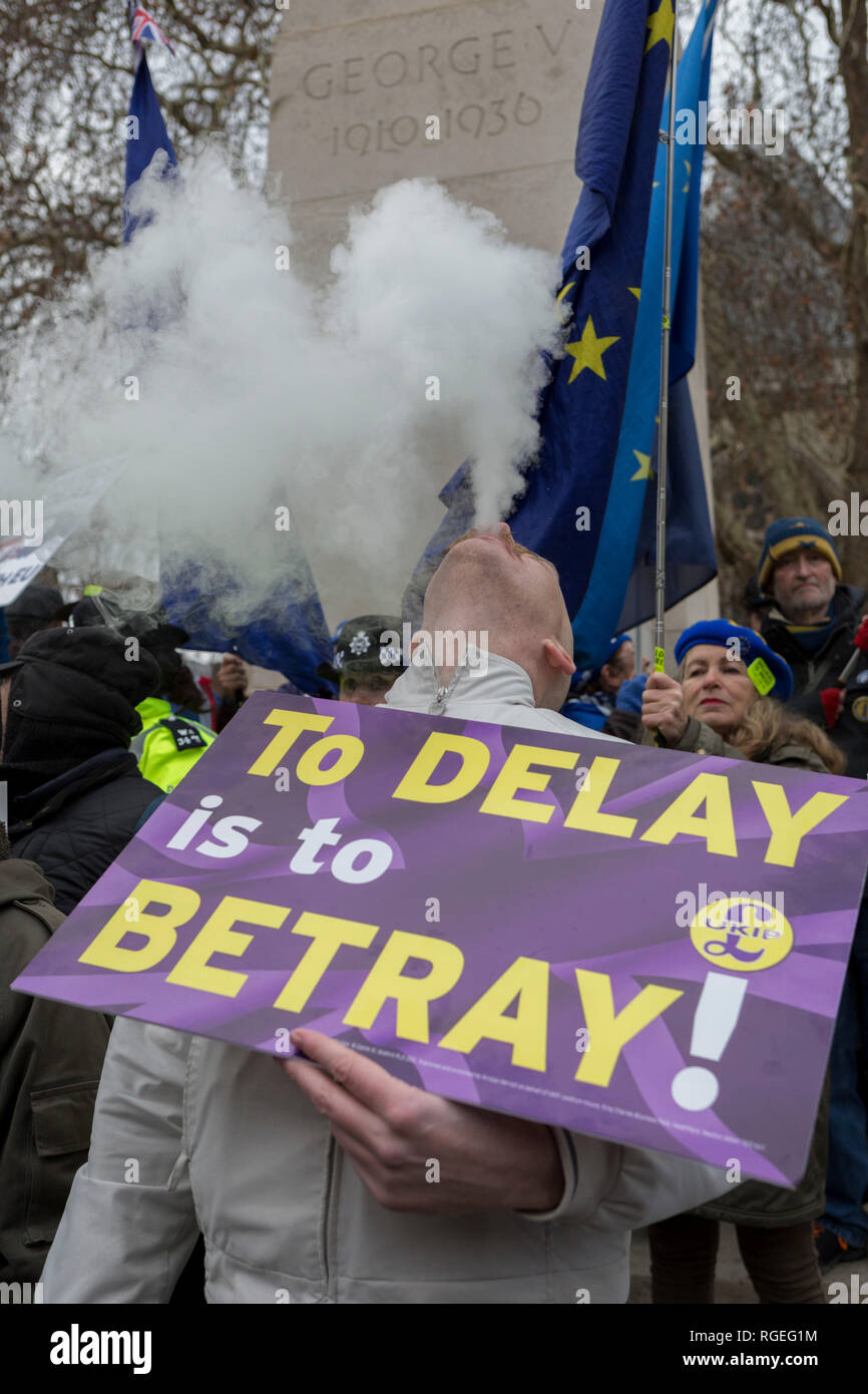 London, UK. 29th January, 2019.On the day that the UK Parliament once again votes on an amendment of Prime Minister Theresa May's Brexit deal that requires another negotiation with the EU in Brussels, a far-right pro-Remain vapes among pro-EU protesters gather outside the House of Commons, on 29th January 2019, in Westminster, London, England. Photo by Richard Baker / Alamy Live News. Stock Photo