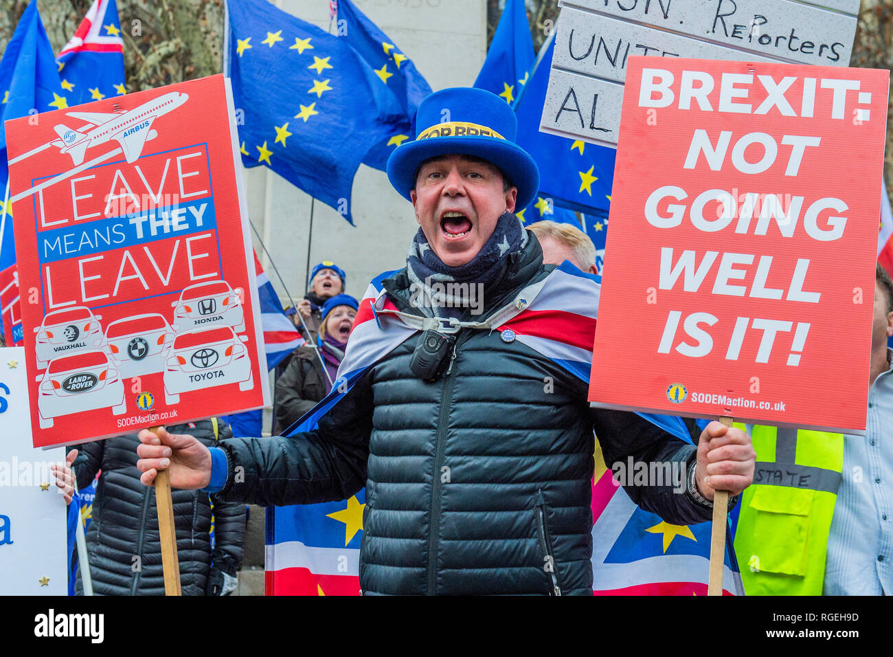 London, UK. 29th January, 2019. Leave means leave and SODEM, pro EU, protestors continue to make their points, side by side, outside Parliament as the next vote on Theresa May's plan is due this evening. Credit: Guy Bell/Alamy Live News Stock Photo