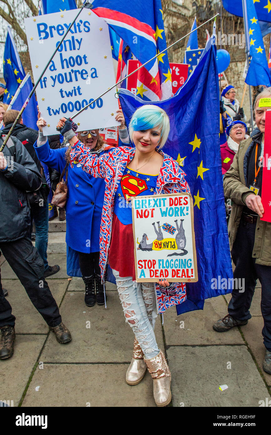 London, UK. 29th January, 2019. Leave means leave and SODEM, pro EU, protestors continue to make their points, side by side, outside Parliament as the next vote on Theresa May's plan is due this evening. Credit: Guy Bell/Alamy Live News Stock Photo