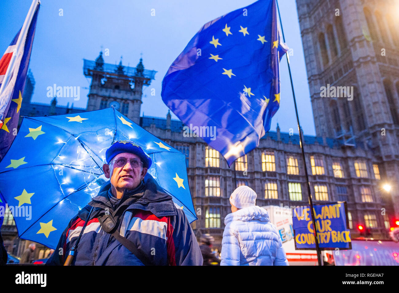 London, UK. 29th January, 2019. Leave means leave and SODEM, pro EU, protestors continue to make their points, side by side, outside Parliament as the next vote on Theresa May's plan is due this evening. Credit: Guy Bell/Alamy Live News Stock Photo