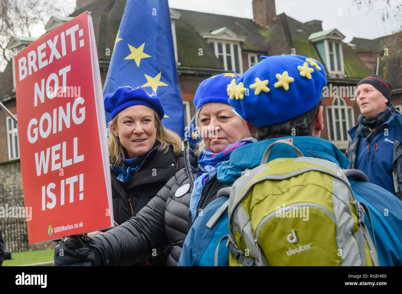 Brexit Remainers London, UK. 29th January 2019. Remainers with poster 'Brexit Not Going ...