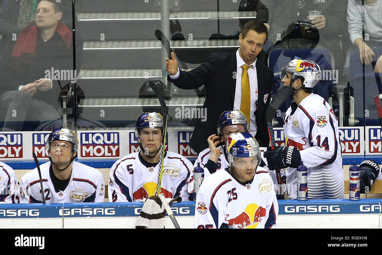 Berlin, Germany. 29th Jan, 2019. Ice hockey: DEL, Eisbären Berlin - EHC Red Bull Munich, main round, 44th matchday. Co-trainer Matt McIlvane from EHC Red Bull Munich talks to Justin Shugg from EHC Red Bull Munich on the bench, while Mads Christensen (l-r), Keith Aulie and Derek Joslin are sitting at the gang. Credit: Andreas Gora/dpa/Alamy Live News Stock Photo