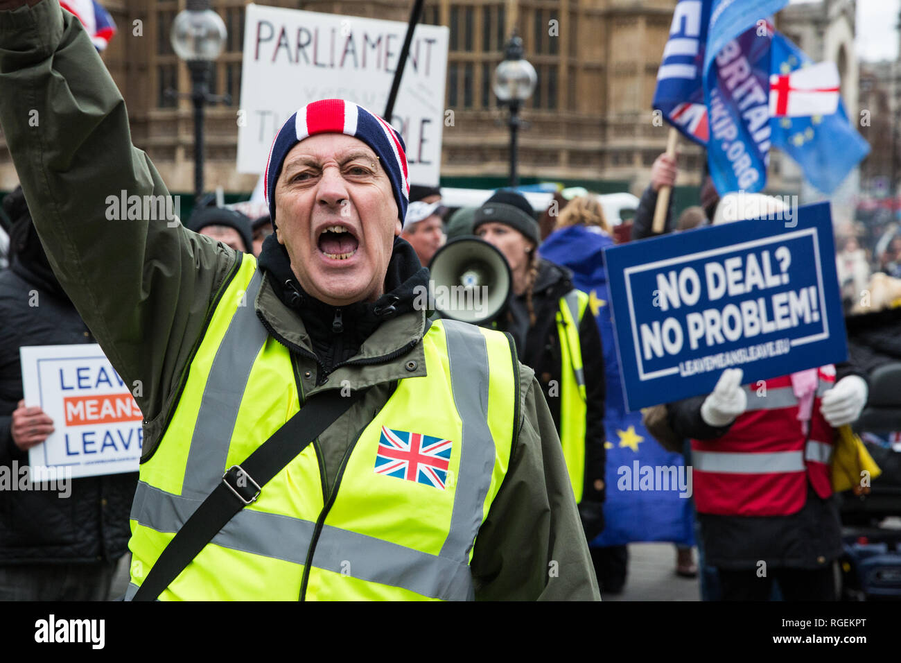 London, UK. 29th January, 2019. Pro-Brexit protesters outside Parliament on the day of votes in the House of Commons on amendments to the Prime Minister's final Brexit withdrawal agreement which could determine the content of the next stage of negotiations with the European Union. Credit: Mark Kerrison/Alamy Live News Stock Photo