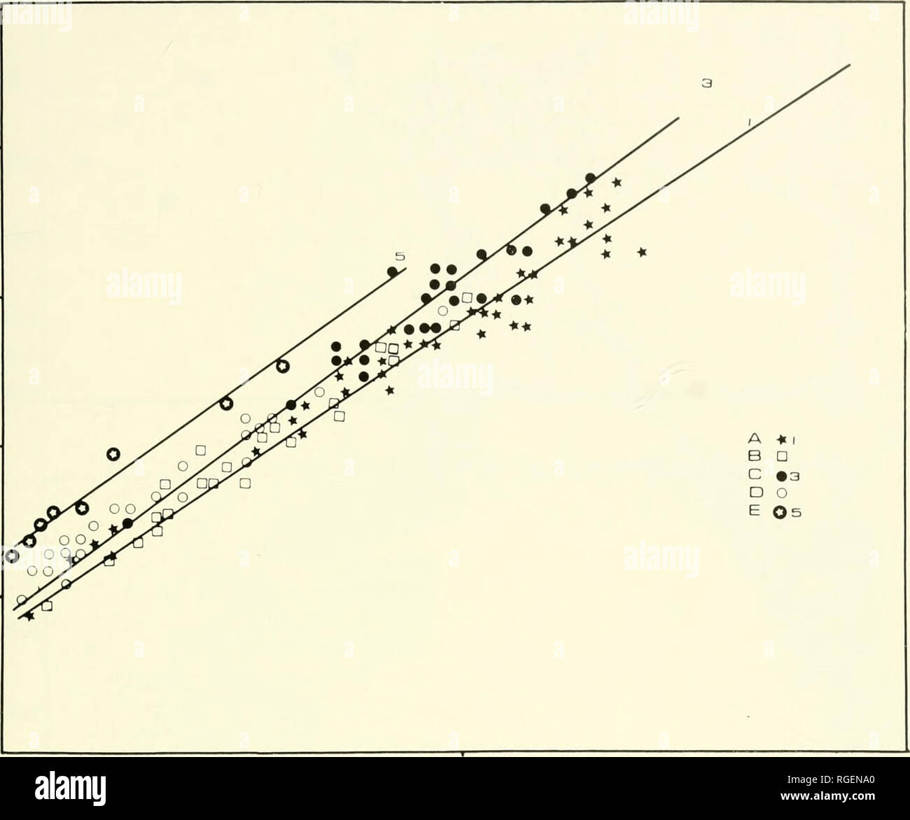 . Bulletin of the Museum of Comparative Zoology at Harvard College. Zoology. Marine Hatchetfishes • Baird 57 45 15-. 20 BO S L Figure 39. Geographic variation in the regression of body depth (BD) on standard length (SL) in A. aculeatus. A   NW Atlantic; B = Gulf of Mexico; C = NE Atlantic; D = Caribbean; E = Pacific (Chile). Marr, 1948: 140; Misra, 1952: 367; Haig, 1955: 321; Fowler, 1956: 27; Koefoed, 1961: 1. rgtiropdecus olfersi: Barnard, 1925: 153; Smith, 1957: 37 (?); Bright and Paquegnat, 1969: -29. Argtjropelccus Itjchntis hjchnus Schultz, 1961: 587 (in part); 1964: 241;&quot; Blache,  Stock Photo