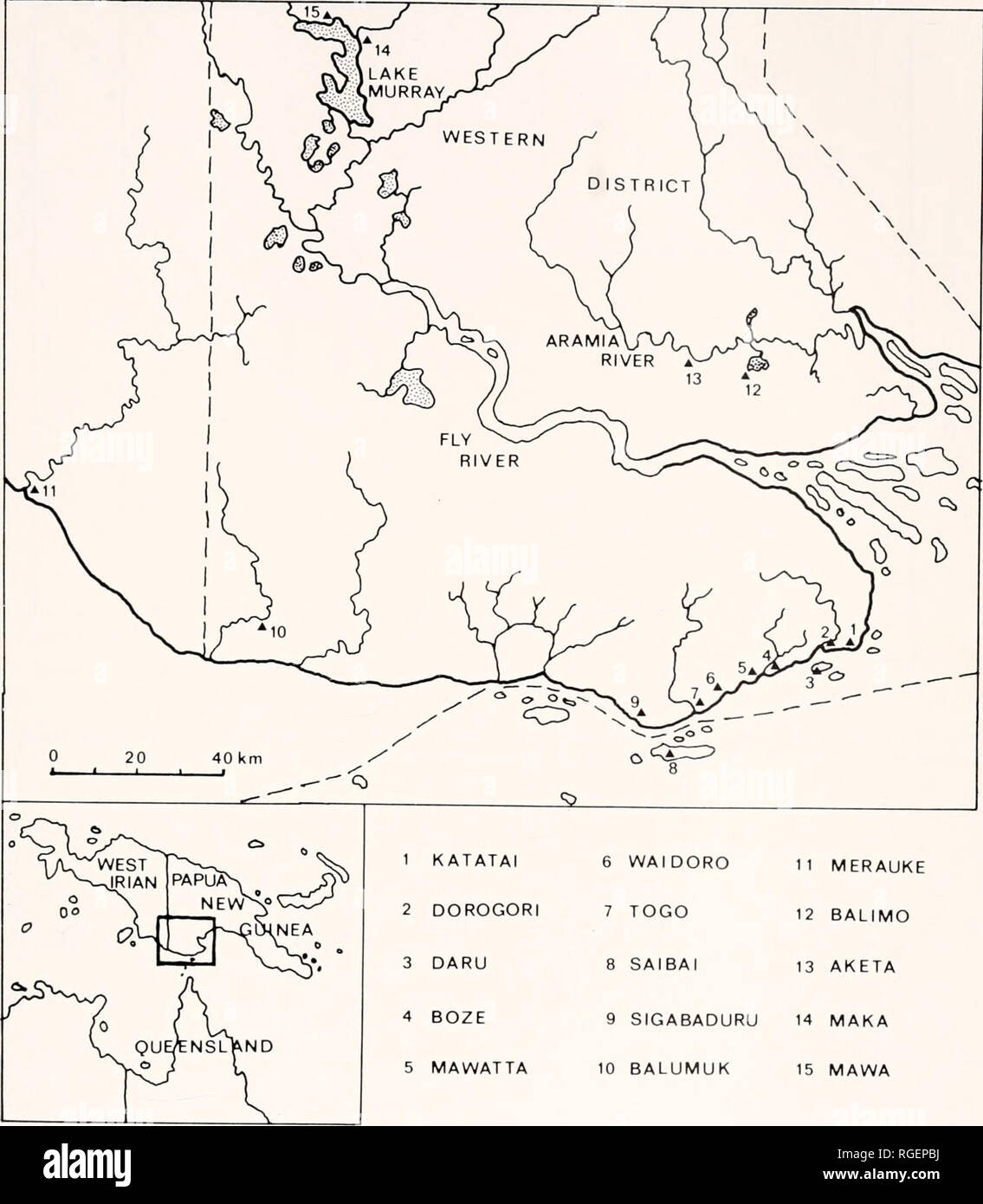 . Bulletin of the Museum of Comparative Zoology at Harvard College. Zoology. Chelodina parkeri • Wiodin and Mittermeier All. Figure 10. Map of southern New Guinea showing the localities where C. siebenrocki and C. parkeri have been collected. Localities 1-11 represent C. siebenrocki; localities 12-15 are C. parkeri. present only as a weak ridge, dividing the deep medial cavum acustico-jngnlare from an extremely shallow or absent lateral fossa; apertnra glossopharyngei set close to edge of opisthotic, often present as an incisnra in crista exoparacapsnlaris. Parietals extremely emarginate media Stock Photo