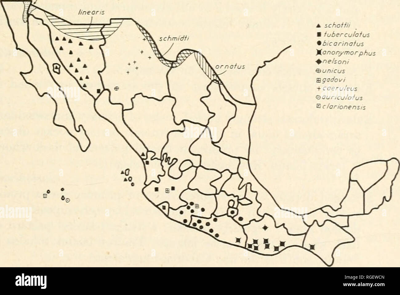 Bulletin Of The Museum Of Comparative Zoology At Harvard College Zoology O Or N A Us A Schmidti 0 Linearis Wrighti O Symmetricus Graciosus Mfergrading Areo Fig 8 Distribution Of