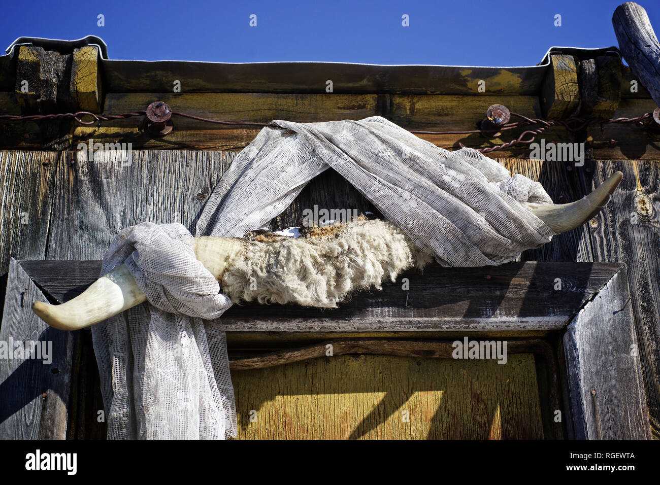 Oymyakon russia hi-res stock photography and images - Alamy
