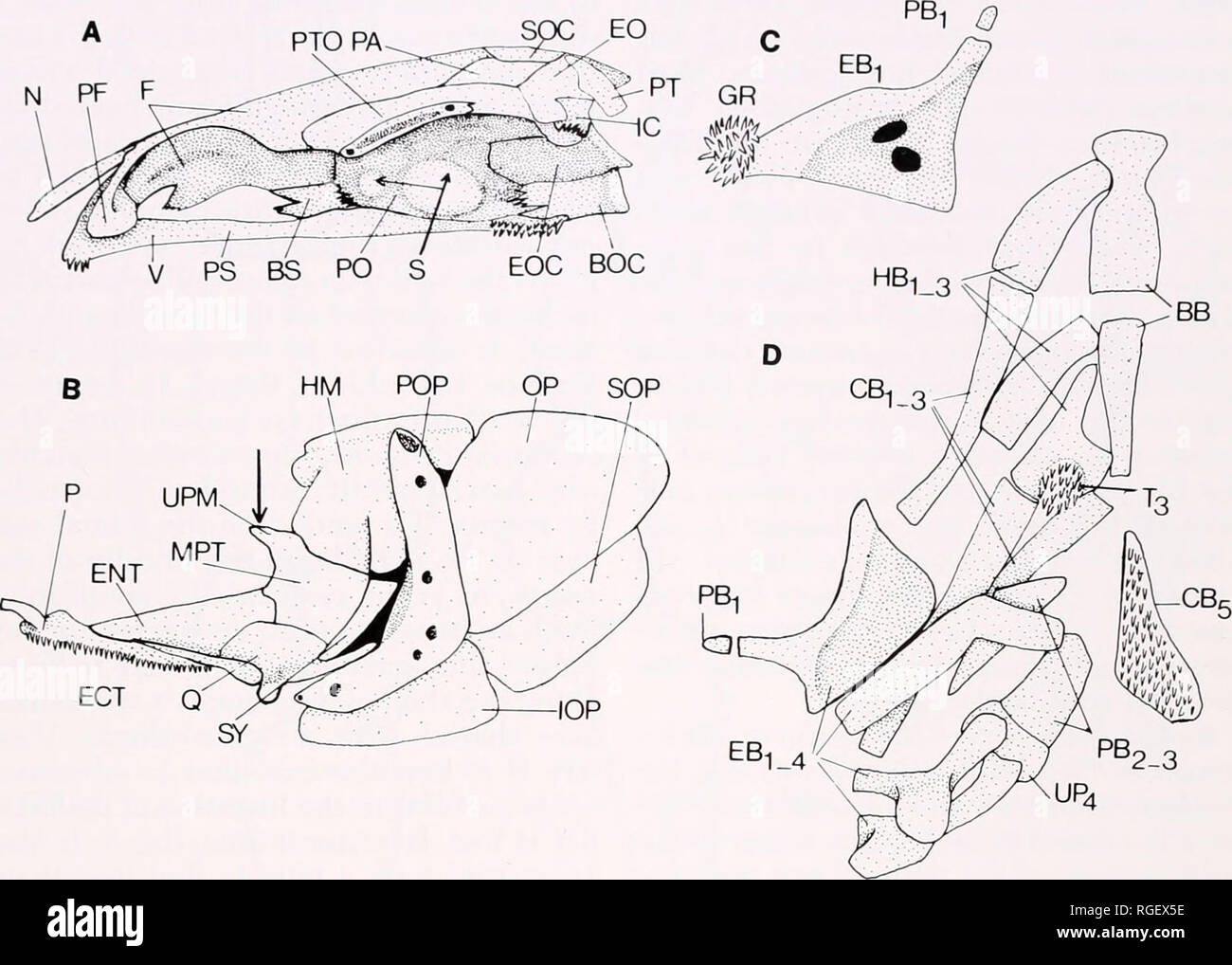 . Bulletin of the Museum of Comparative Zoology at Harvard College ...