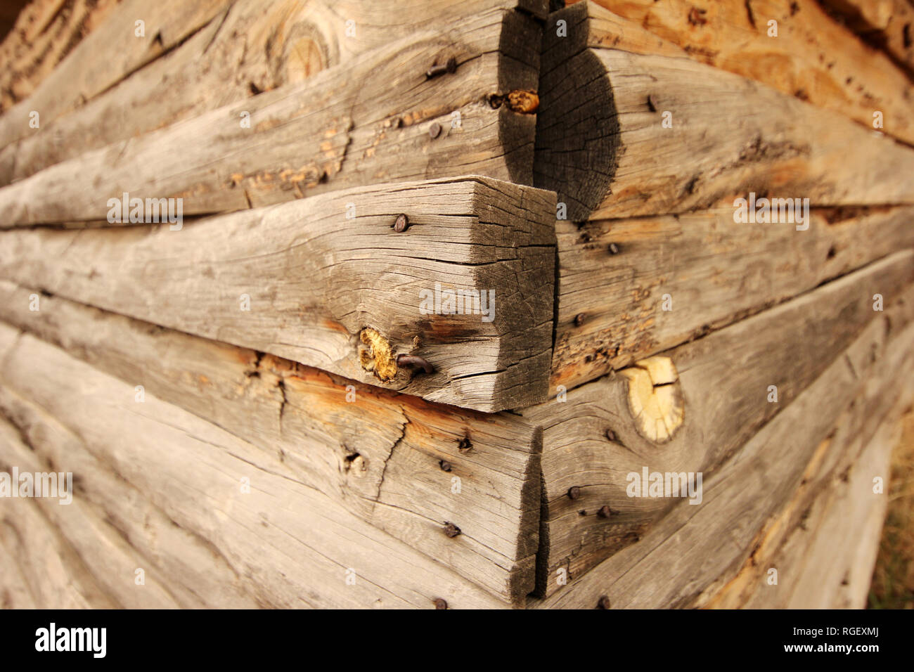 Rustic Log Cabin Corner Joint Stock Photo Alamy