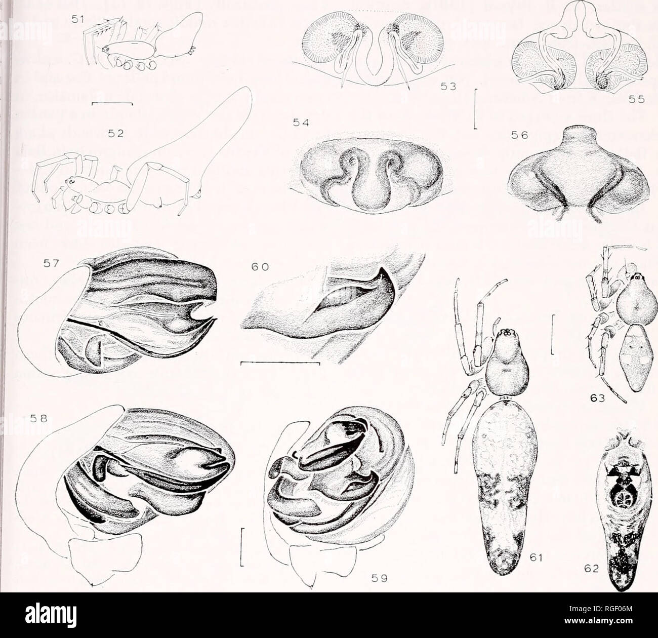 Bulletin Of The Museum Of Comparative Zoology At Harvard