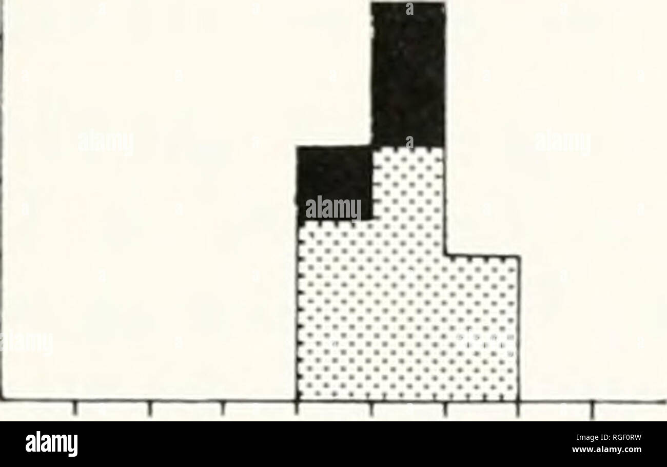 . Bulletin of the Museum of Comparative Zoology at Harvard College. Zoology. Arabian Lizards and Snakes • Haas and Werner 351 00 Z UJ LU a.. 11 13 15 B 11 13 15 FEMORAL PORES Figure 7. Variation in the number of femoral pores in sub- species of Eremias guttulata. A, E. g. gutfulata: Iraq—black; Saudi Arabia—stippled. B, £. g. wotsonono: Iran—stippled; Iran—25 specimens from S. C. Anderson, 1963—white; West Pakistan— black. .54437, 6, Nag, 4000 ft., 75 mi. NE of Panjgur, Baluchistan, 30 March 1955. Pholidosis. In all cases, four upper labials in front of the subocular, and only- three behind it Stock Photo