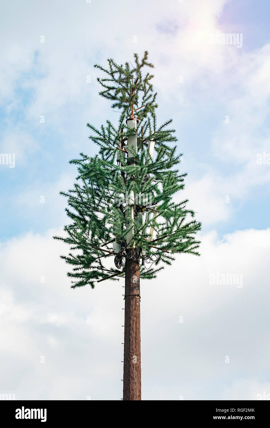 Cell phone tower disguised as a tree Stock Photo