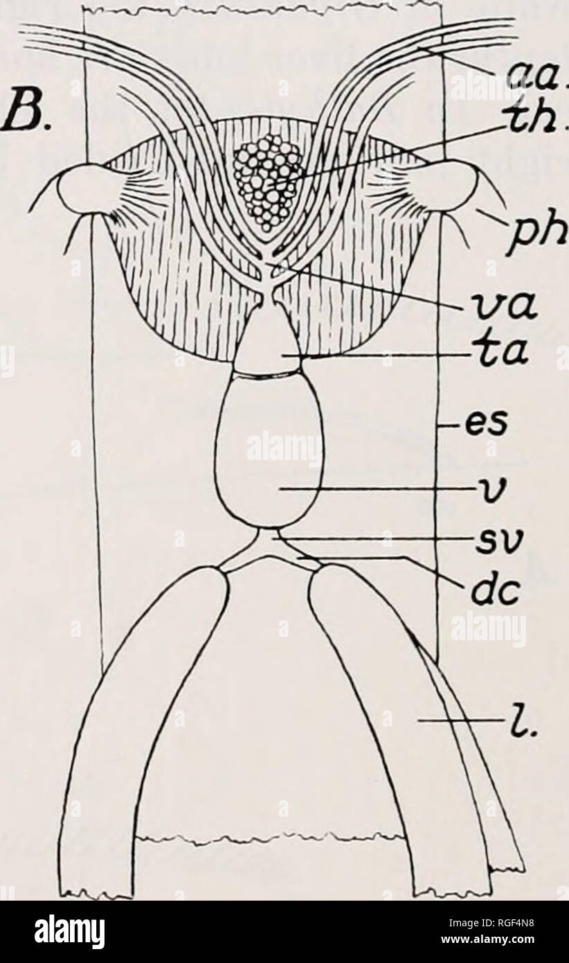 . Bulletin of the Museum of Comparative Zoology at Harvard College ...