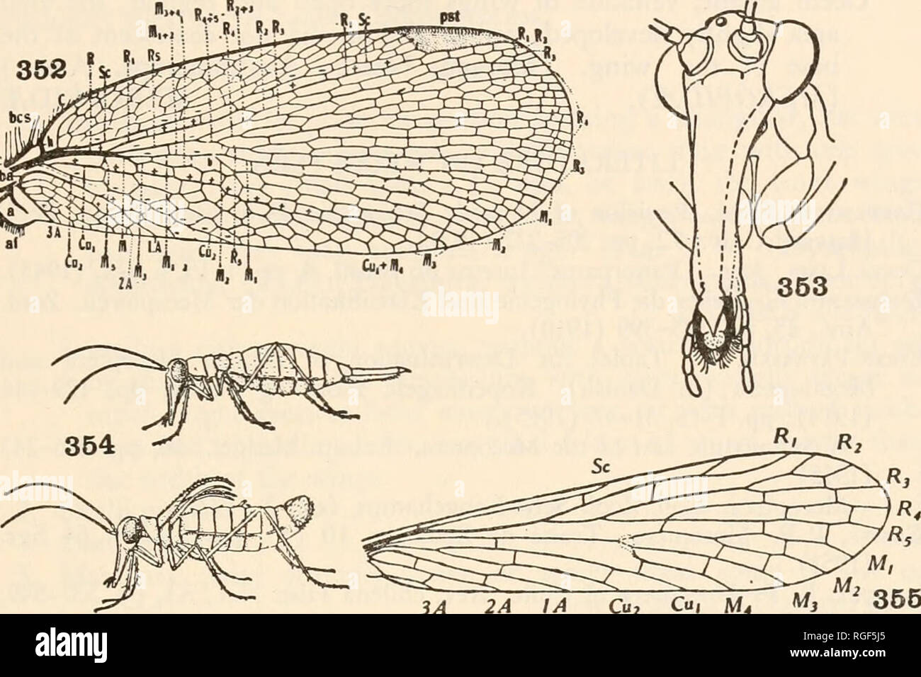 Características de la ranura