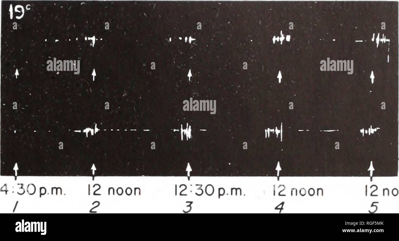 Bulletin Of The Museum Of Comparative Zoology At Harvard College