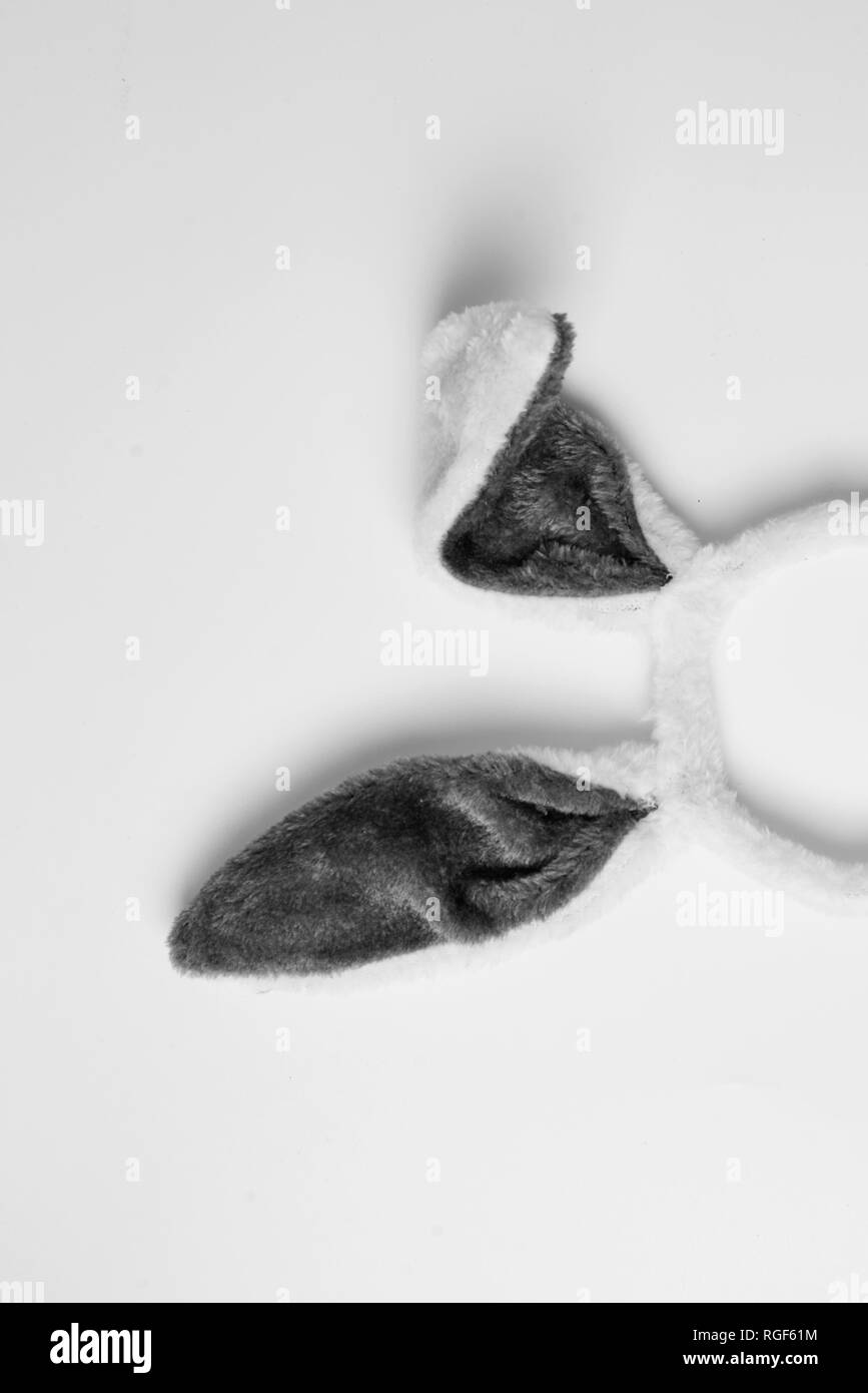 Top view of grey rabbit ears on white background easter minimal blogger concept Stock Photo