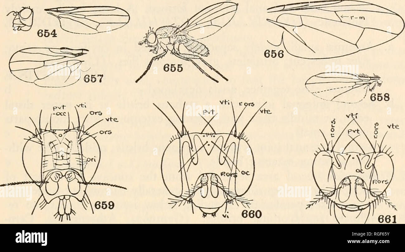 Holarc hires stock photography and images Alamy