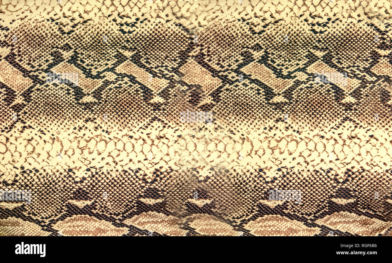 Snake skin texture. Reptile seamless background for design. Stock Photo