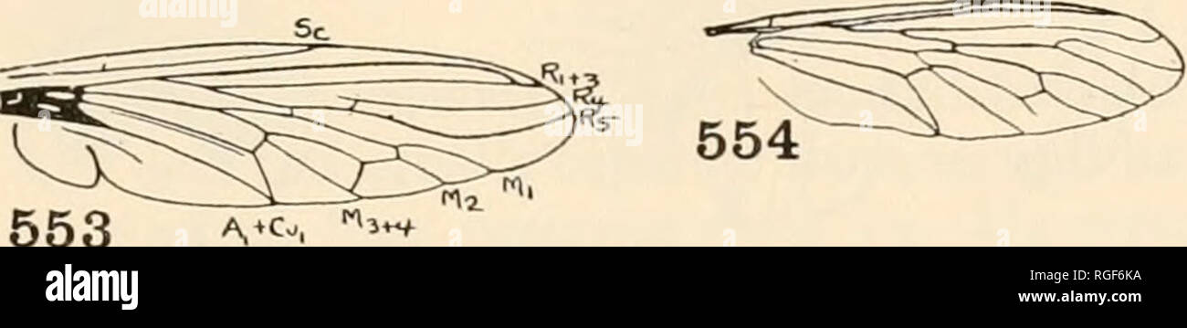 . Bulletin of the Museum of Comparative Zoology at Harvard College ...