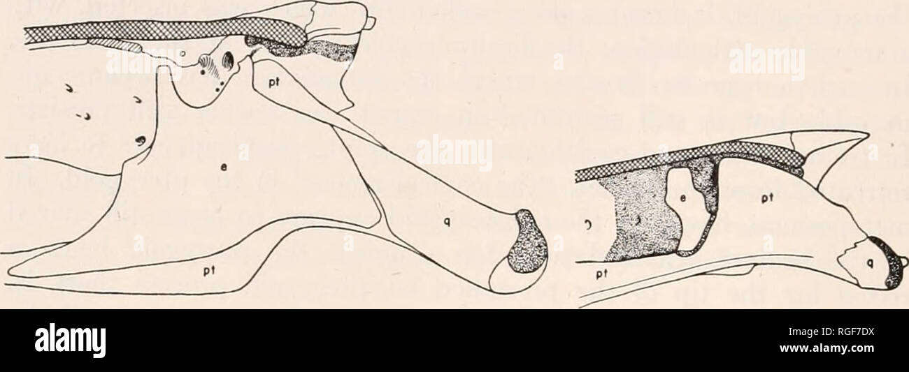 . Bulletin of the Museum of Comparative Zoology at Harvard College ...