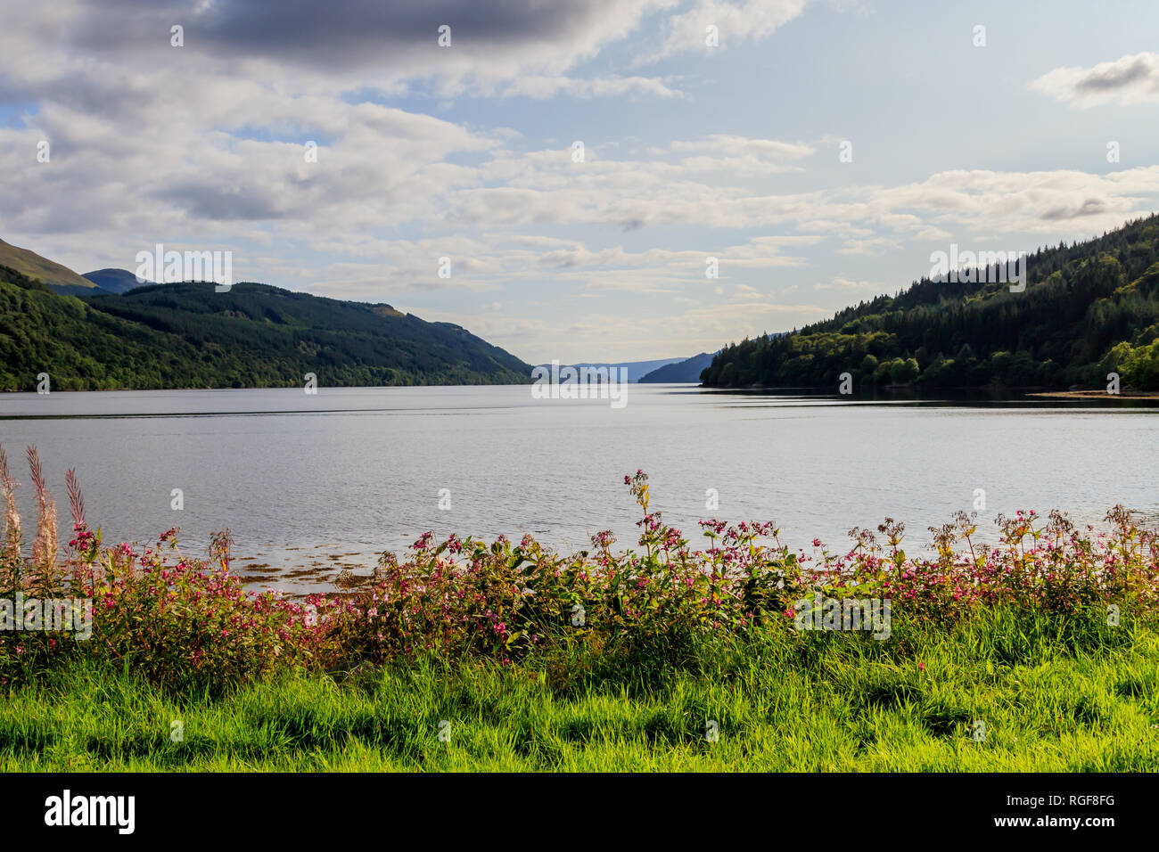 View down Loch Long Scotland Stock Photo Alamy