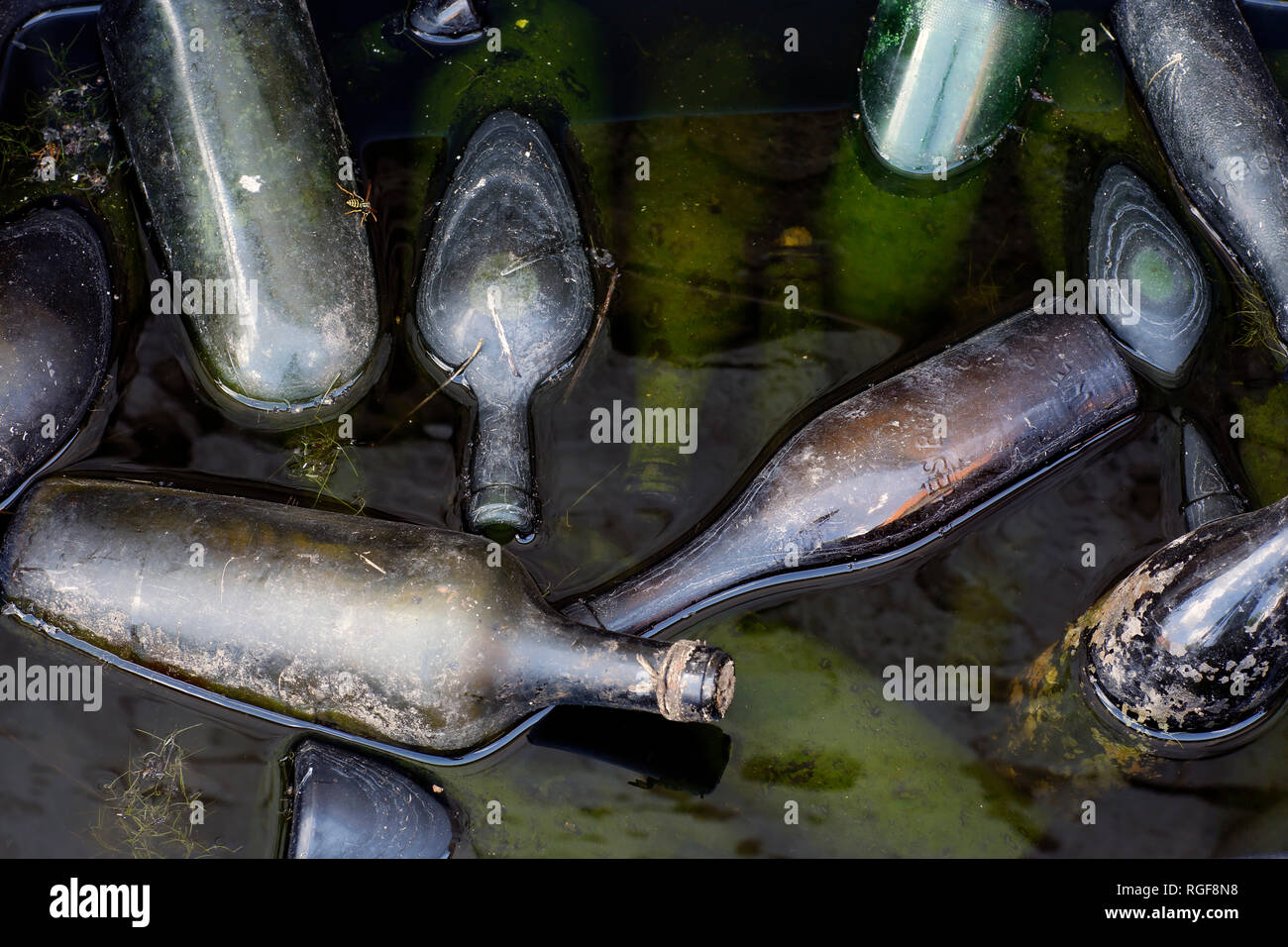 Old beer bottles in the water, Czech Republic, Europe Stock Photo