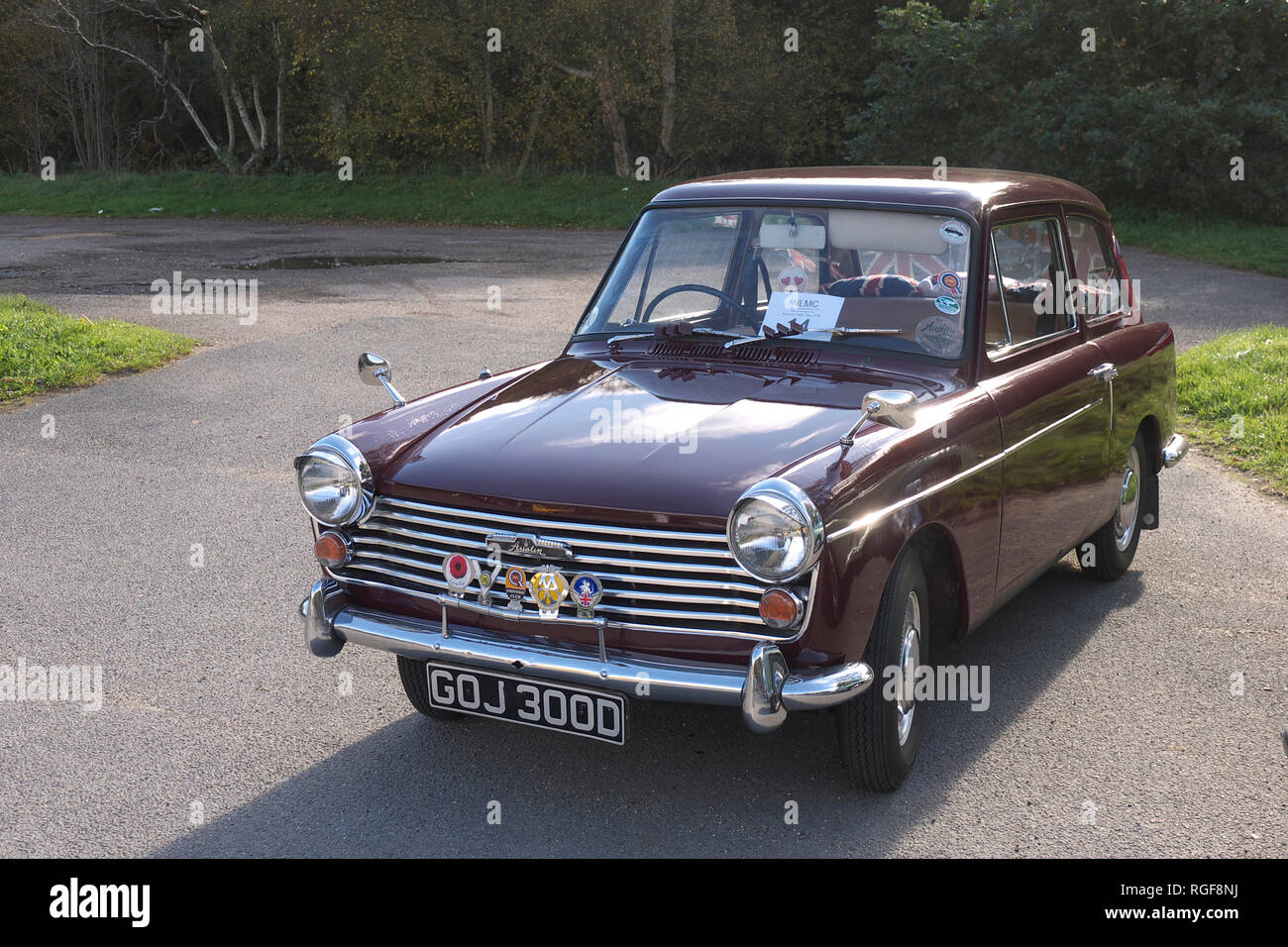 Classic 1966 Austin A40 Farina at Willingham woods Stock Photo