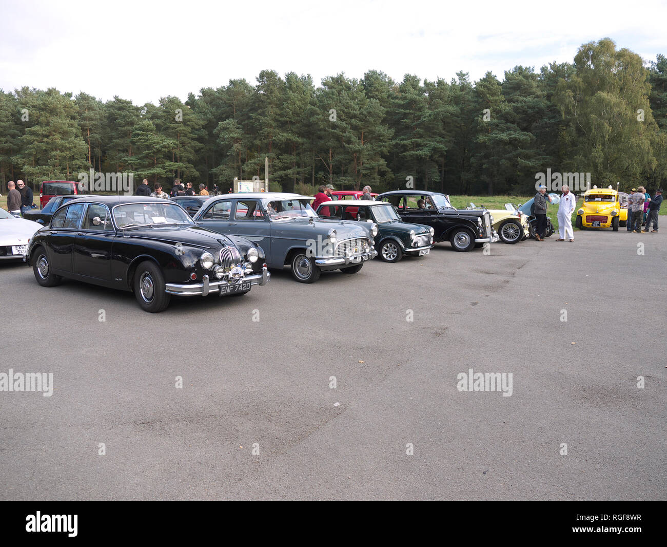 Classic cars on display at Willingham woods Stock Photo