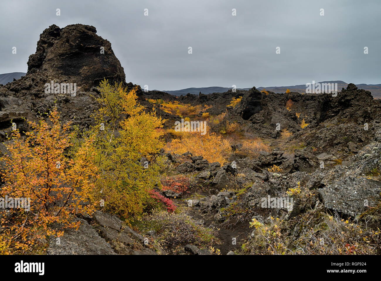 Old Volcanic area of Dimmuborgir in Iceland Stock Photo
