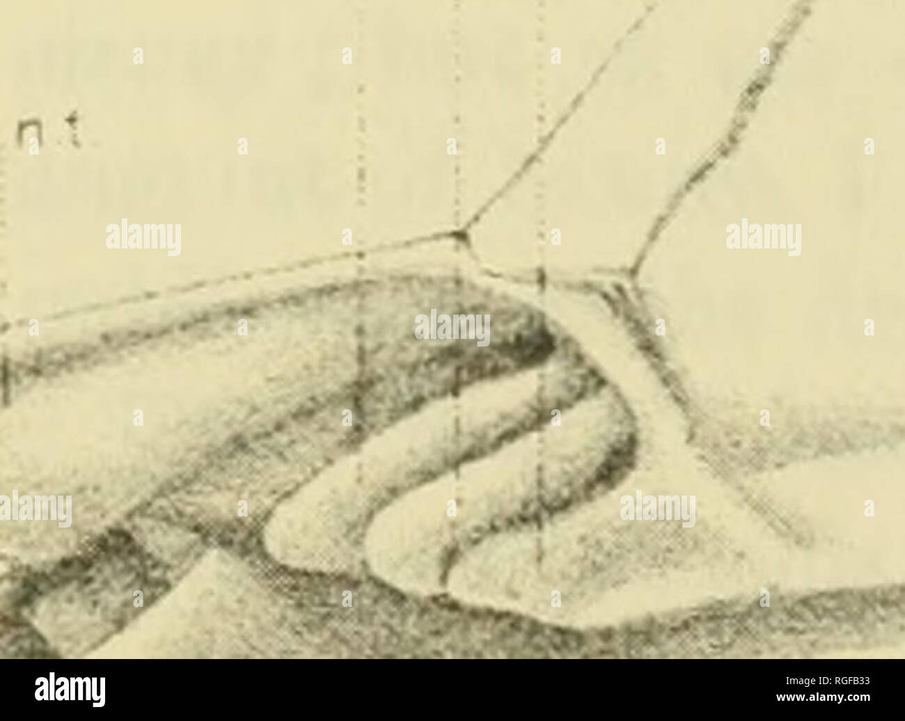 H ix hi-res stock photography and images - Page 41 - Alamy