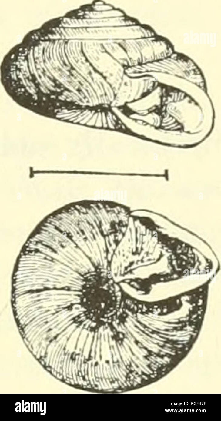 . Bulletin of the Museum of Comparative Zoology at Harvard College ...