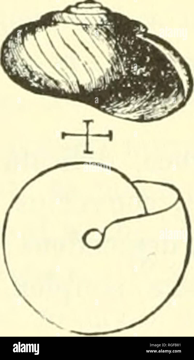 . Bulletin of the Museum of Comparative Zoology at Harvard College ...