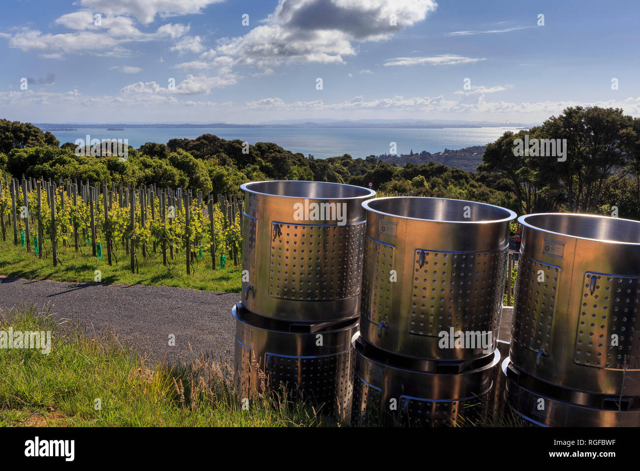 At Batch Winery on Waiheke Island. Looking out past copper drums to vines tied into posts. Native bush and then the ocena and in the distance, Aucklan Stock Photo