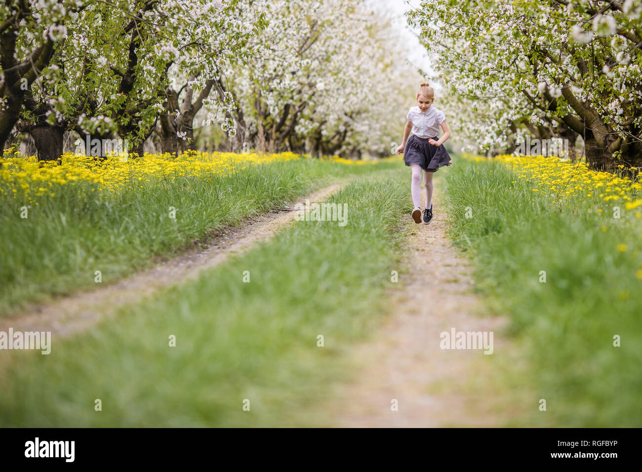 Little blonde girl running in blooming apple and cherry garden. Warm ...
