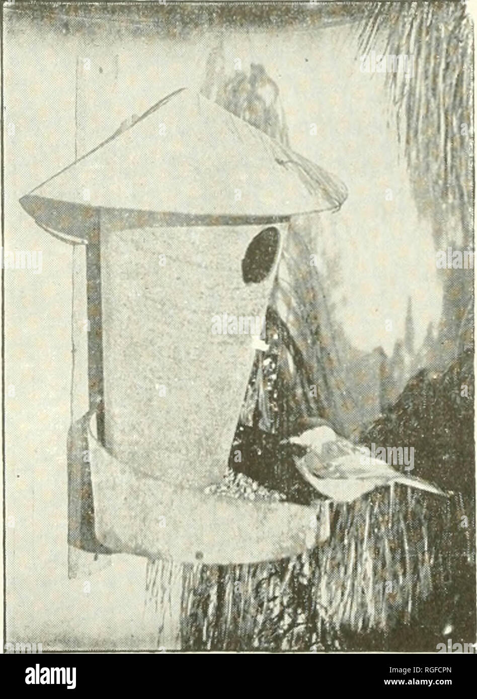 The Bulletin Of The Massachusetts Audubon Society Birds Nature