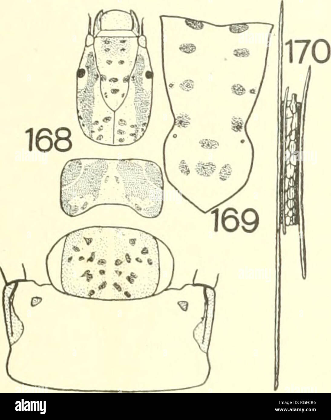 . Bulletin of the Lloyd Library of Botany, Pharmacy and Materia Medica ...