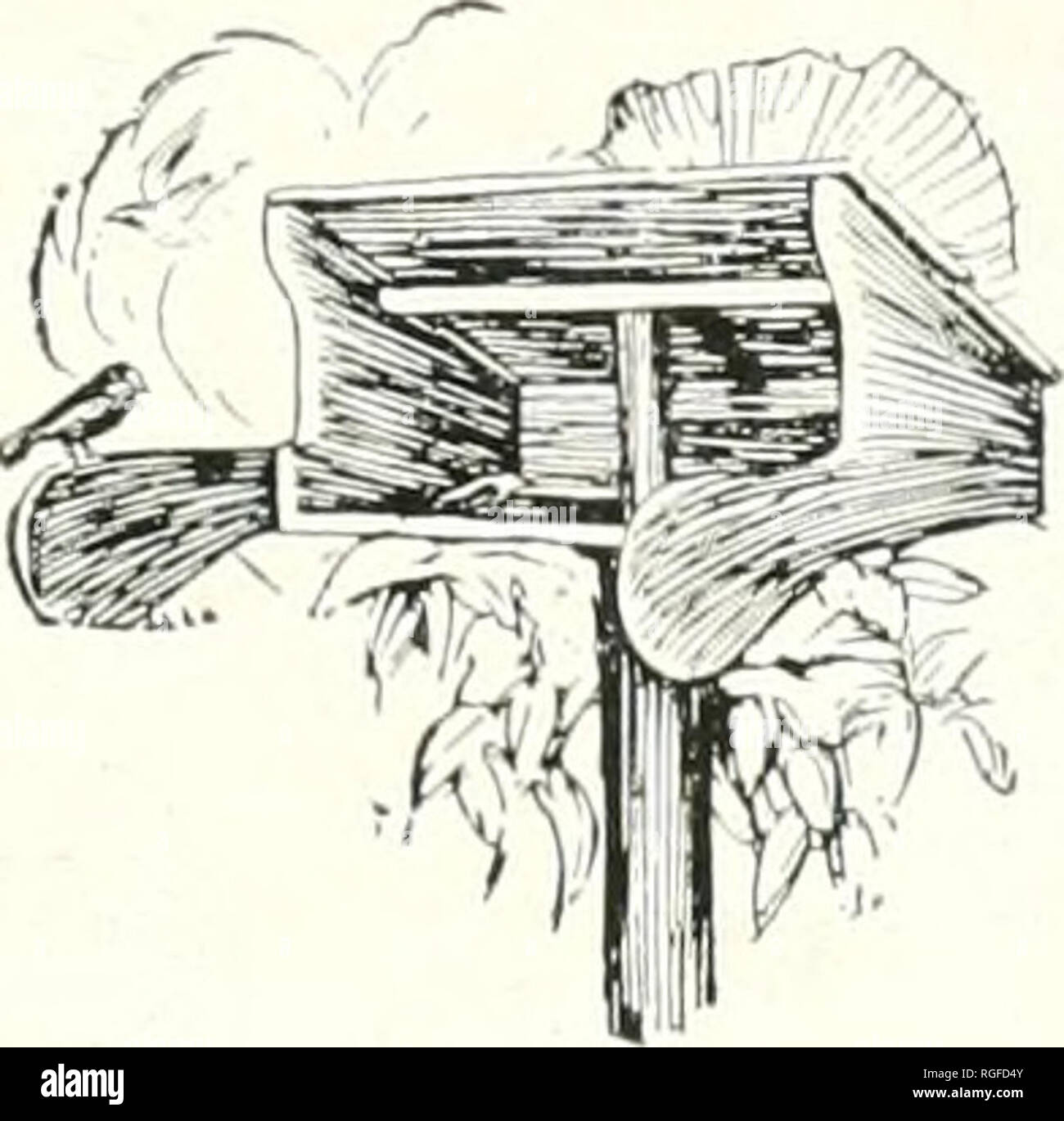 . The Bulletin of the Massachusetts Audubon Society. Birds; Nature conservation. Wren Houses, solid oak. cypress shingles, copper copinsr, 4 com- partments, 28 inches high, 18 inches dia. Price $6.00 FREE Mr. Dodson's fascinatinc booklet, &quot;Your Bini Friends and How to Win Them,&quot; with all the styles of Bird Houses and Mr. Dodson's valuable suesrestions. A colored bird picture suitable for framing will also he sent free. Dodson's Sparrow Trap is guaranteed to rid your premises of this noisy, quarrelsome pest. $8.00 Bird houses that endure &quot;^^011 know the birds are ereatiires of ha Stock Photo