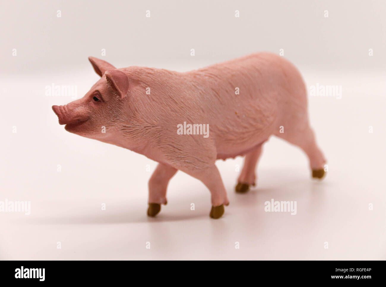 Pig lifelike sculpture figure Stock Photo Alamy