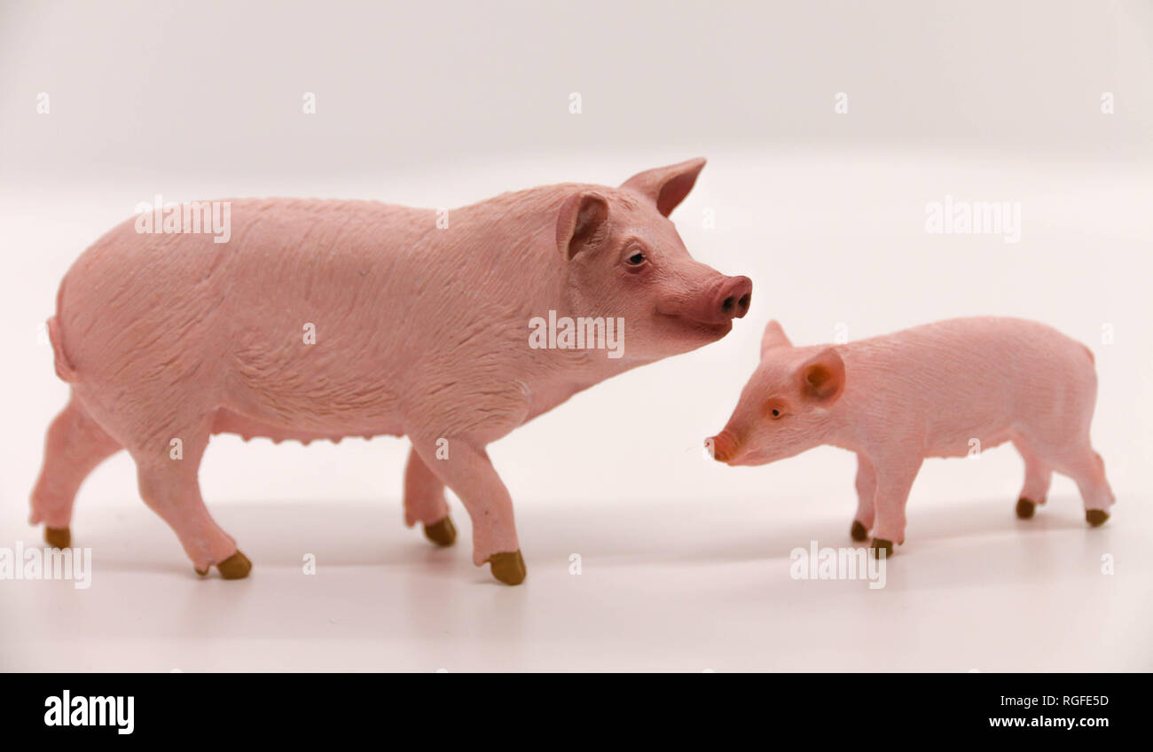Pig lifelike sculpture figure Stock Photo Alamy