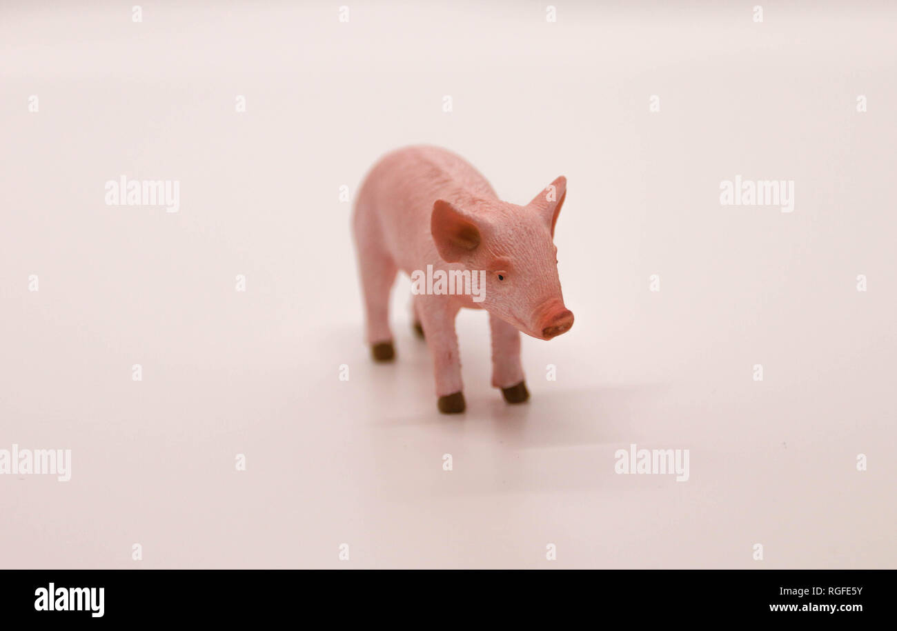 Pig lifelike sculpture figure Stock Photo Alamy