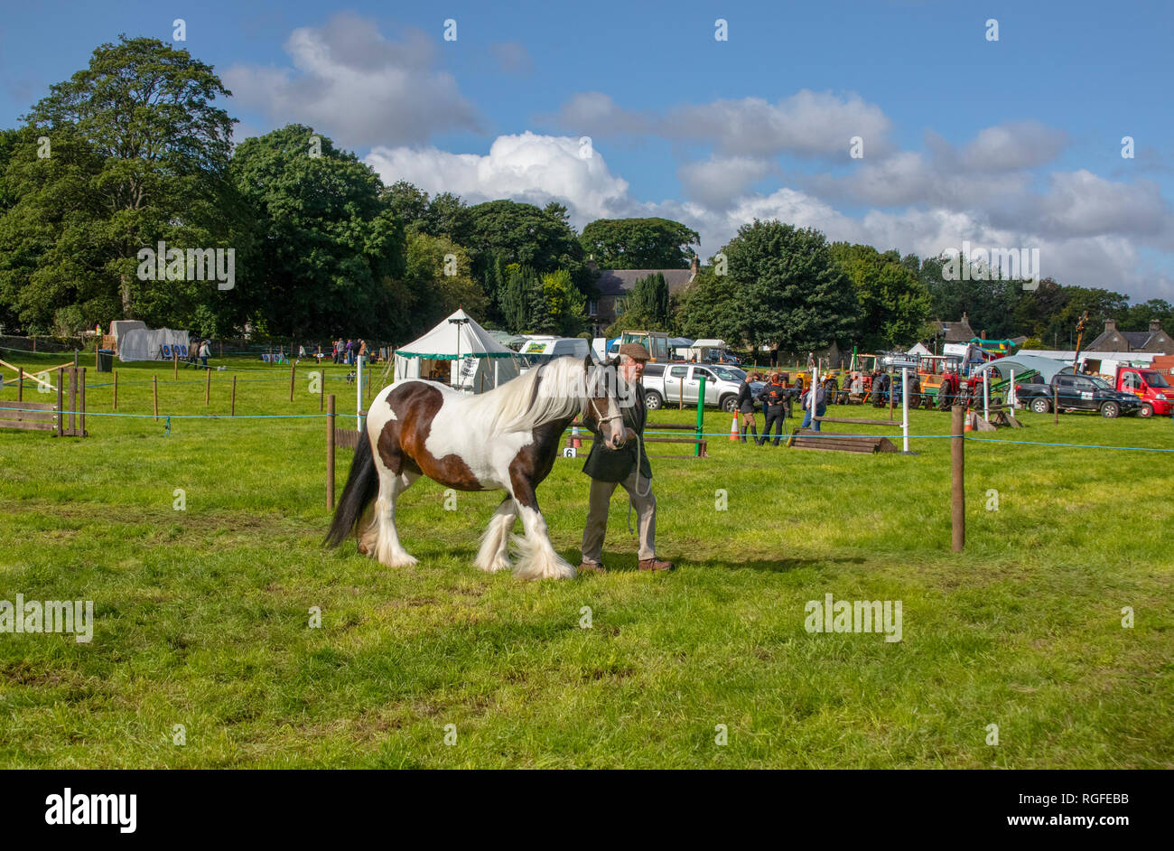 Horse at Weardale Show Stock Photo