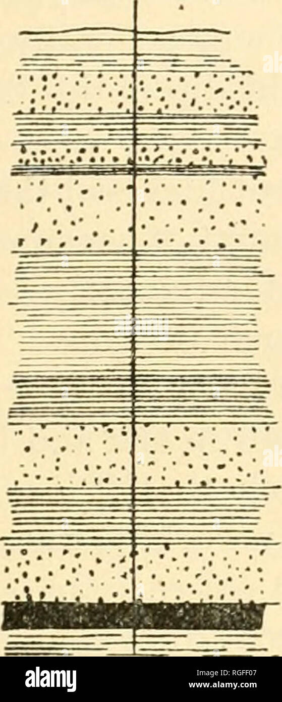 . Bulletin of the Geological Society of America. Geology; Geology -- United States. INCONSTANT STRATIGRAPHY AT SANI&gt;('&lt; H'LEE. 315 Diamond Drill Records &lt;ii Sandcoidte.. Please note that these images are extracted from scanned page images that may have been digitally enhanced for readability - coloration and appearance of these illustrations may not perfectly resemble the original work.. Geological Society of America. [New York, etc. ] The Society Stock Photo