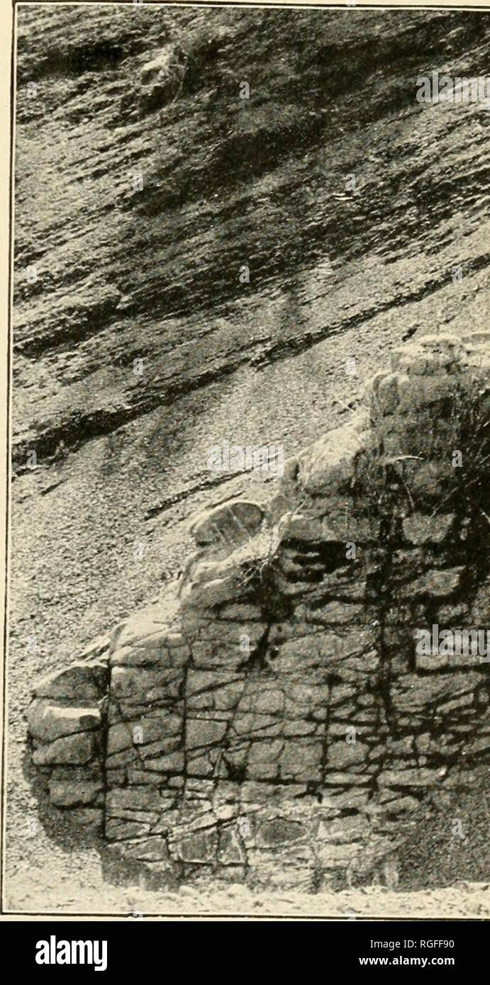 . Bulletin of the Geological Society of America. Geology; Geology -- United States. FIG 2—GREAT SANDSTONE DIKE ON ROA RIVER 5 FEET THICK.. FIG. 3. —GROUP OF SANDSTONE DIKES ON NORTH FORK THE LARGEST 4 INCHES THICK. FIG 4—LATERAL VIEW OF SANDSTONE Dl ON DRY CREEK.. Please note that these images are extracted from scanned page images that may have been digitally enhanced for readability - coloration and appearance of these illustrations may not perfectly resemble the original work.. Geological Society of America. [New York, etc. ] The Society Stock Photo