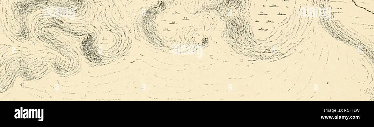 . Bulletin of the Geological Society of America. Geology; Geology -- United States. if - - â , â yj.. â , .Y.I .â :'p^ â .- - â --l&amp;aSk â¢. Please note that these images are extracted from scanned page images that may have been digitally enhanced for readability - coloration and appearance of these illustrations may not perfectly resemble the original work.. Geological Society of America. [New York, etc. ] The Society Stock Photo