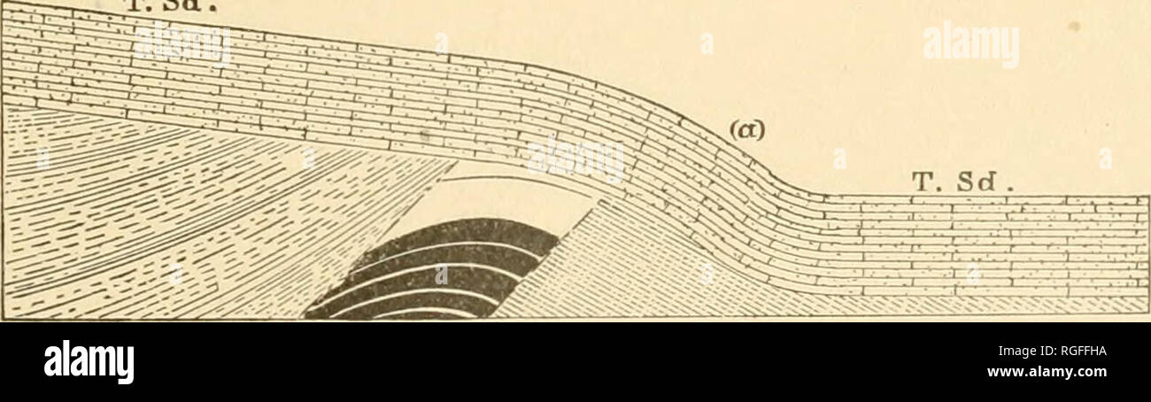 . Bulletin of the Geological Society of America. Geology; Geology -- United States. Figure 1.—East and West Section at the loiver end of Nun-ko-weap Valley on the North side of the Brook. R. W. = Red Wall limestone (Carboniferous); U. T. = Upper Tonto (Upper Cambrian); T. Sd.= Tonto sandstones (Middle Cambrian?); C=Shales of the Chuar group (Algonkian) ; G. C. = Shaly sandstones of the Grand Canon group (Algonkian) that belong below the lava beds L; a, a = Butte fault; 6, b and c, c = Pre-Cambrian faults. Vertical scale, 1000 feet = 1 inch. West. East. T. Sd. C. (c) li. (b) G.C. Figure 2.—Sect Stock Photo