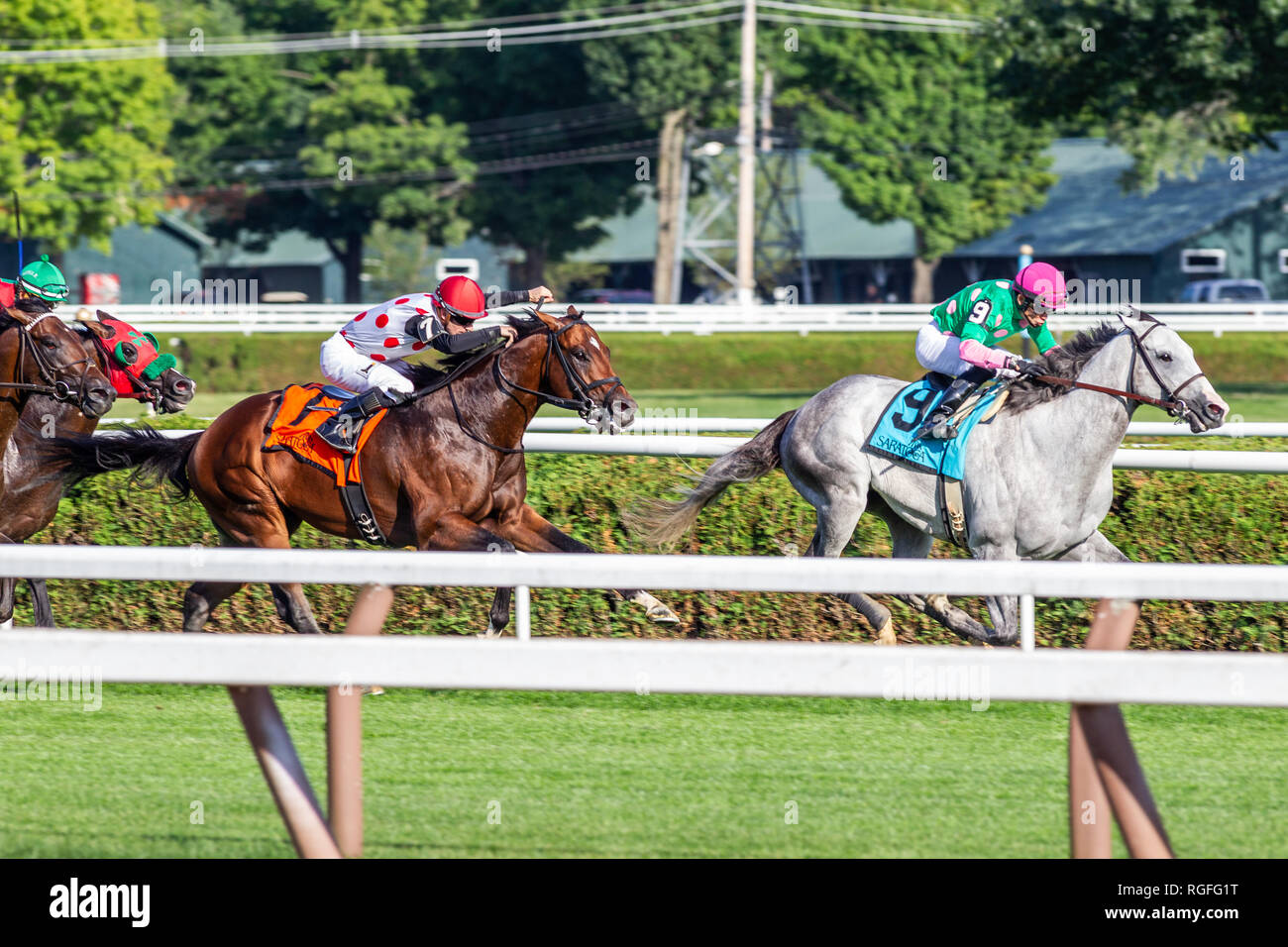 Horse and Jockey Racing Saratoga race track New York Stock Photo Alamy